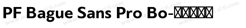 PF Bague Sans Pro Bo字体转换